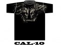 CAL-10