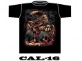 CAL-16
